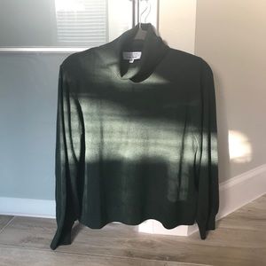 & Other Stories Evergreen Wool Blend Turtleneck